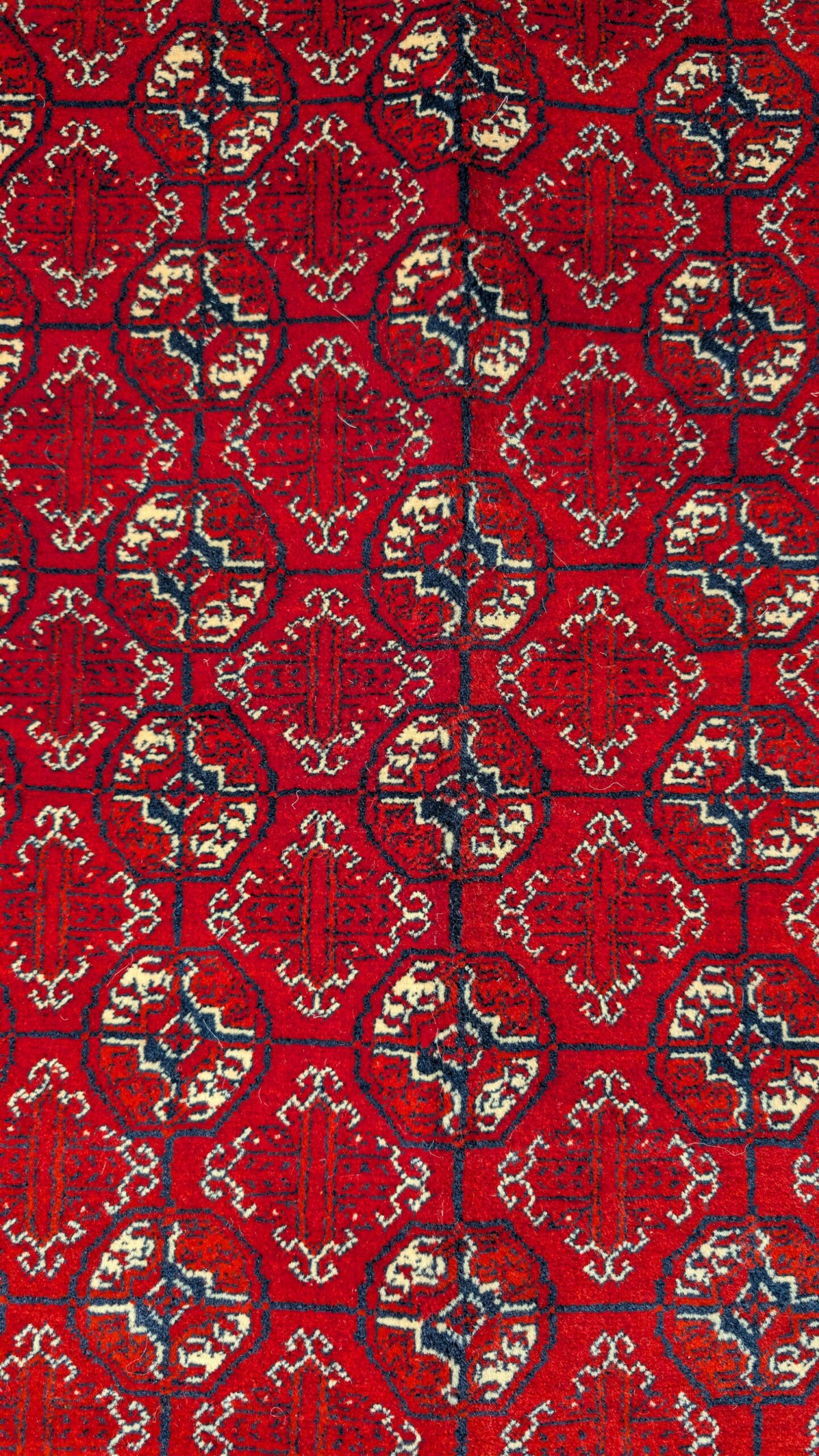 Tapis Afghan Shakh – Image 5