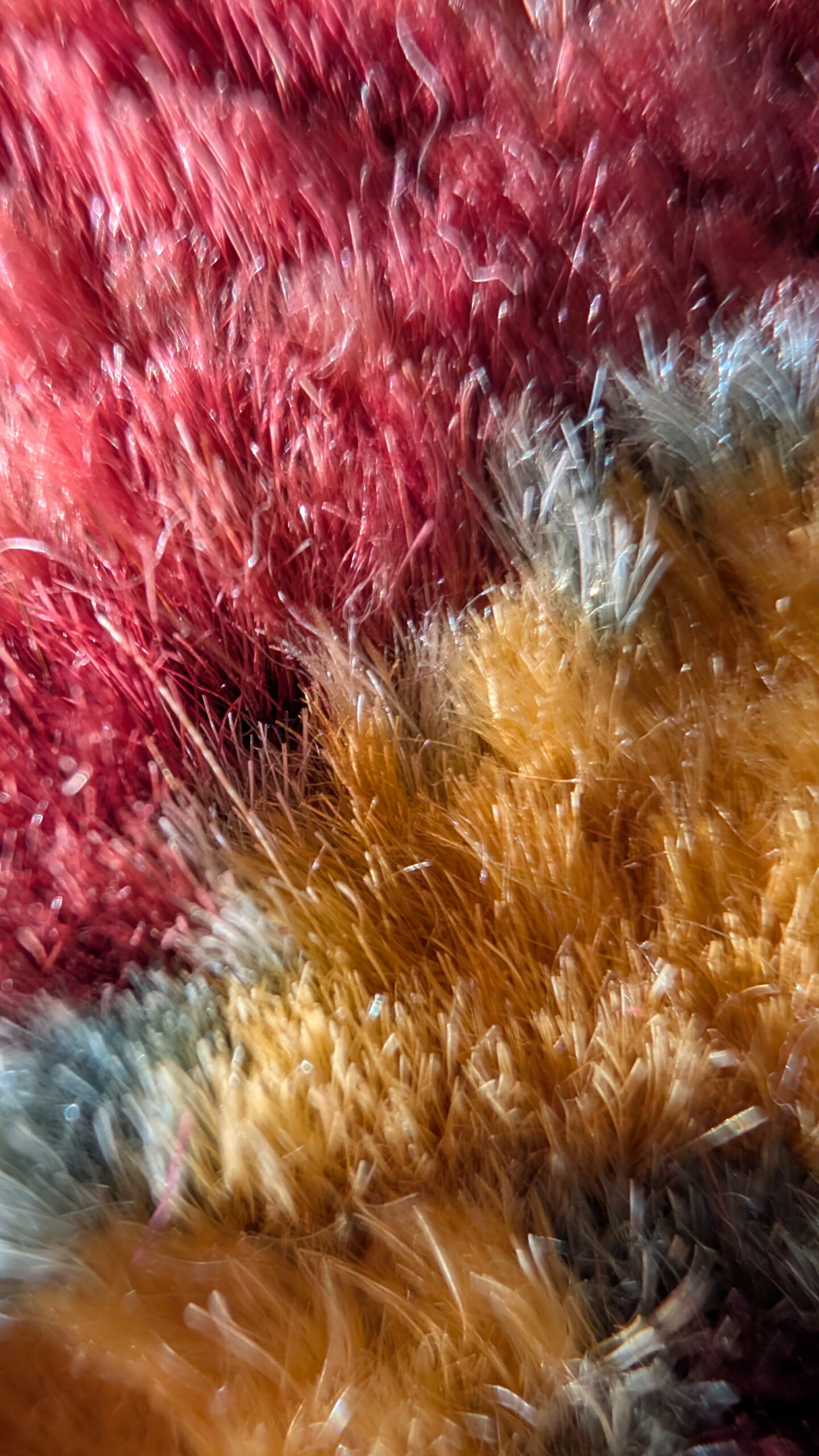 Tapis Beloutch – Image 4