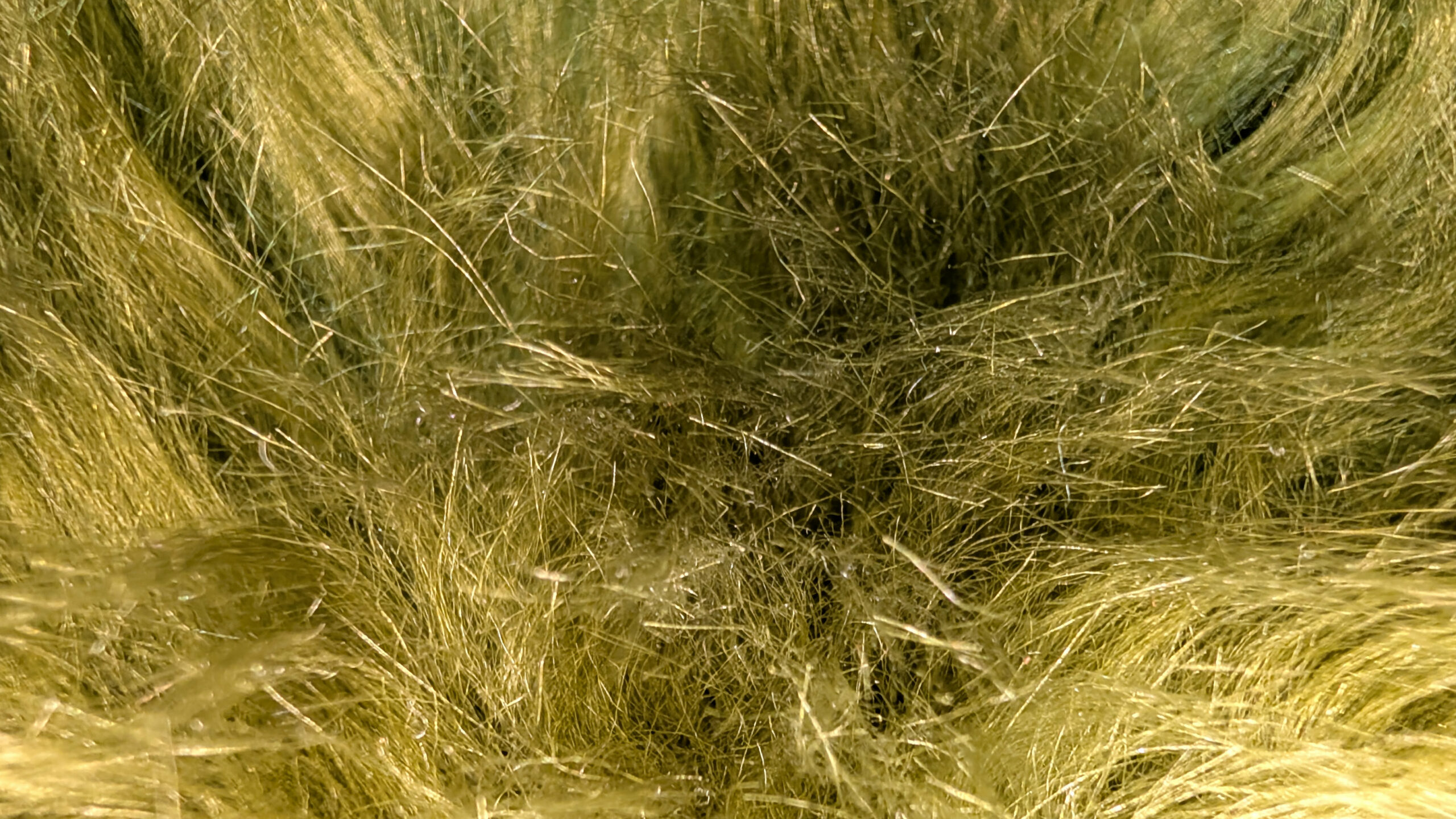 Peau de Mouton Vert – Image 2